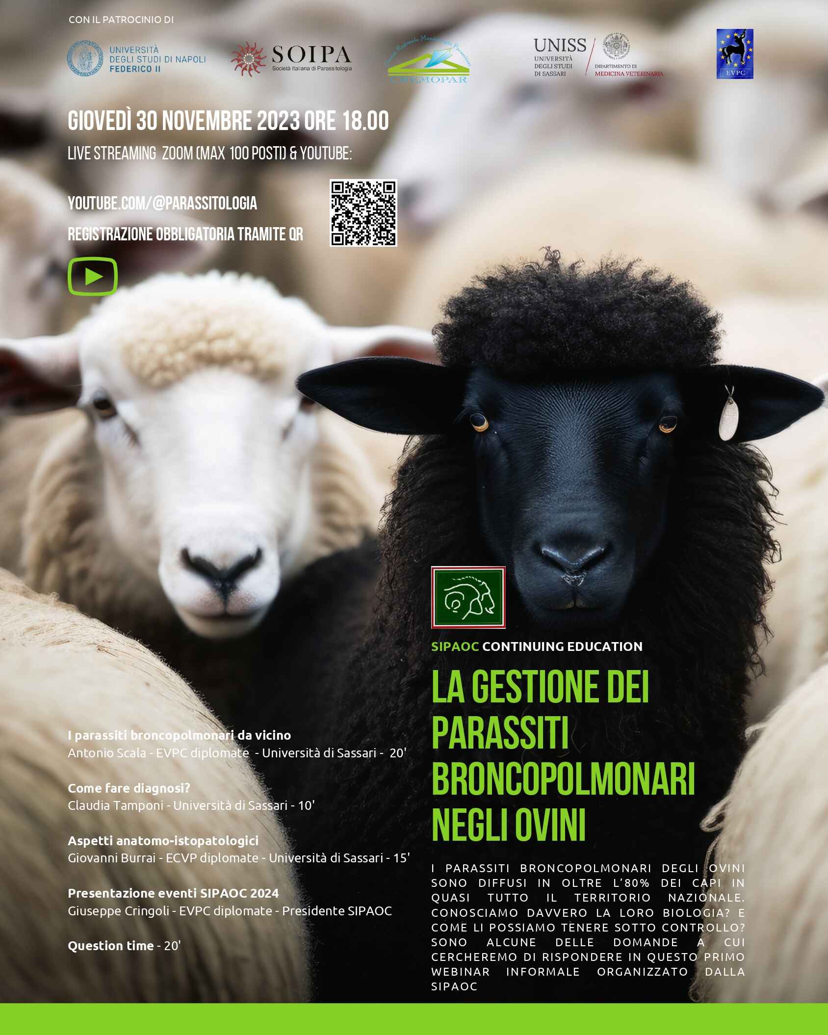 La gestione dei parassiti broncopolmonari negli ovini